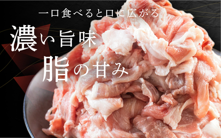 訳あり 国産豚肉 切り落とし 1.3kg 豚肉 瓜生