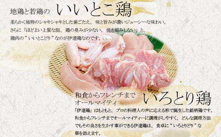 「鳥幸の水炊き」伊達鶏スープのミールキット（2人前） F20C-460