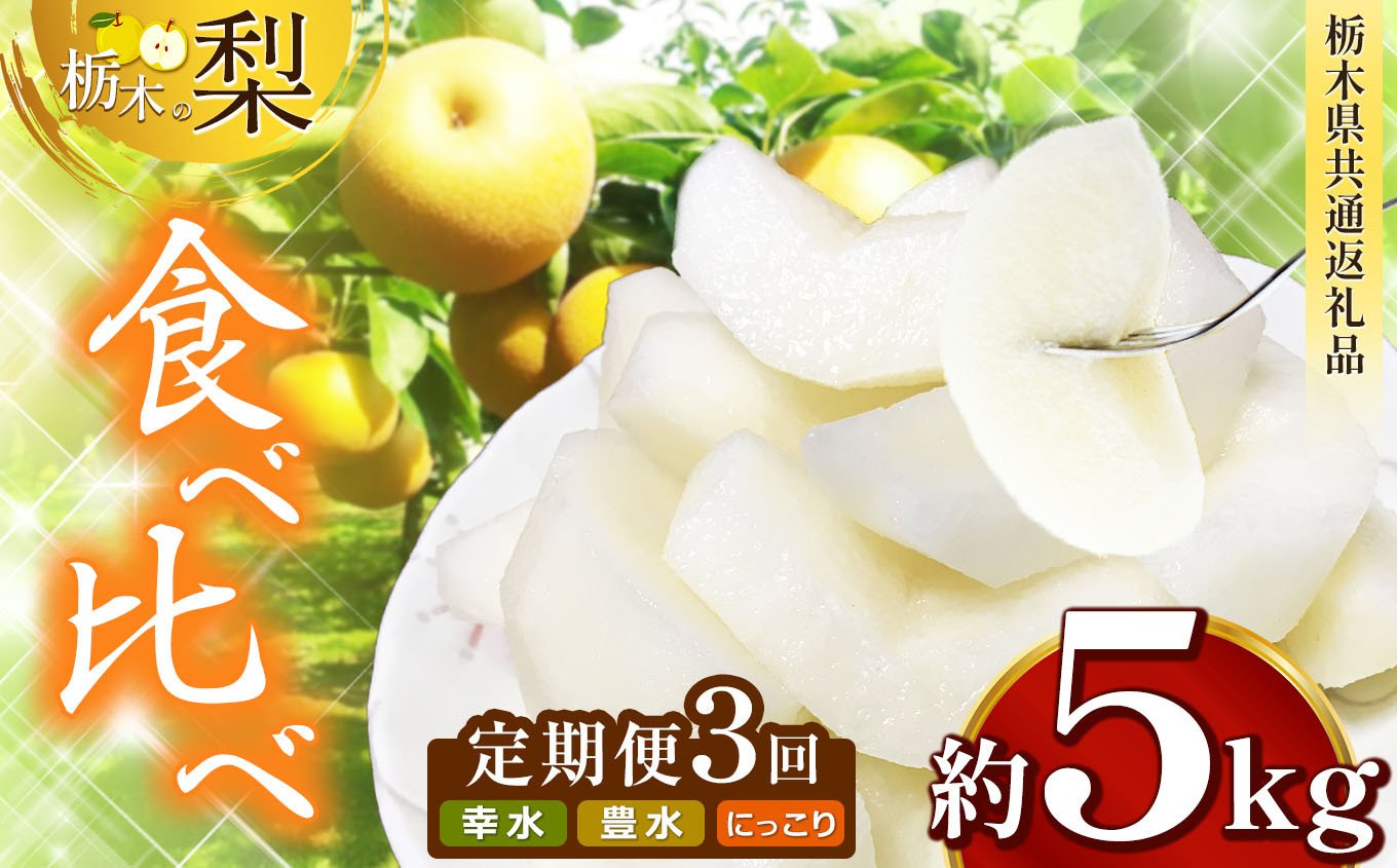 
            【先行予約】 【 3回定期便 】栃木県産 梨 約 5kg  | ナシ 梨 なし 栃木県共通返礼品 栃木県 真岡市 ふるさと納税 送料無料 
          