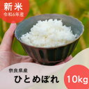 【ふるさと納税】奈良県産ひとめぼれ10kg【1457055】