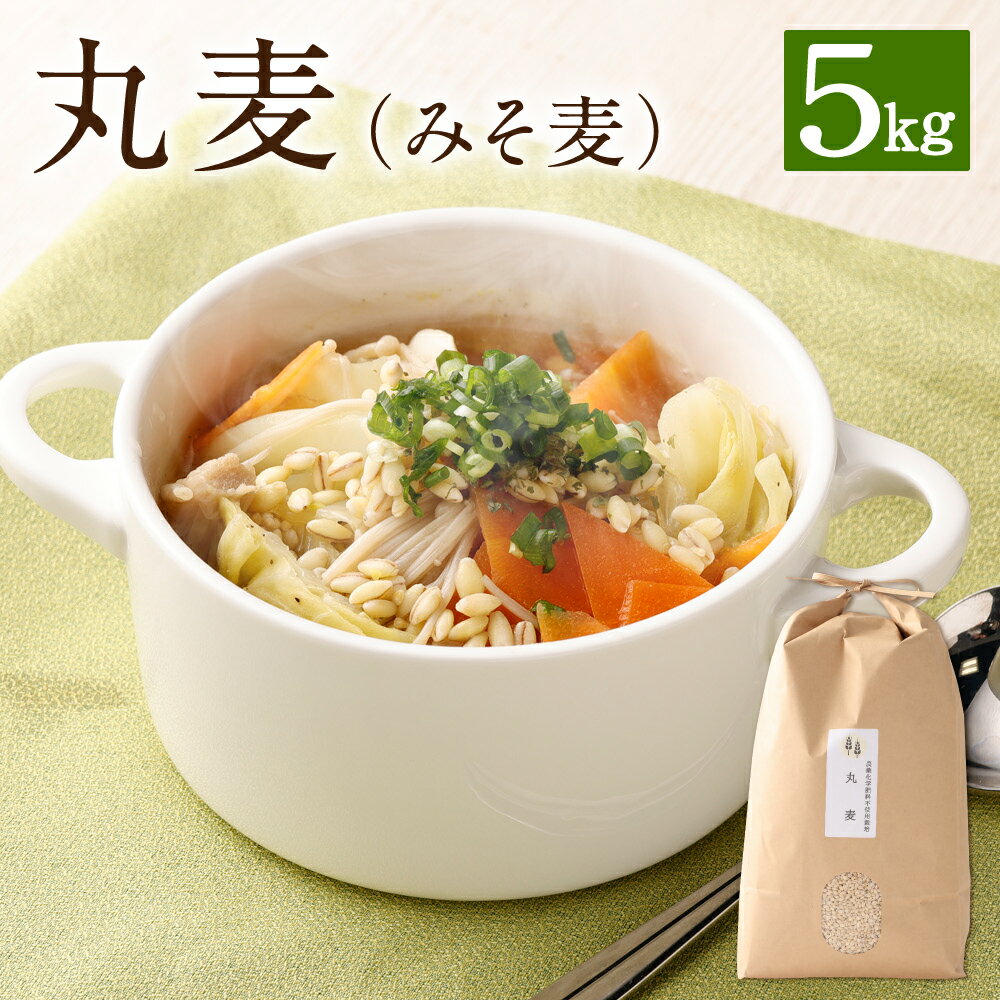 【ふるさと納税】丸麦 5kg 麦 みそ麦 味噌 食物繊維 栽培期間中農薬不使用 九州産 福岡県産 国産 送料無料