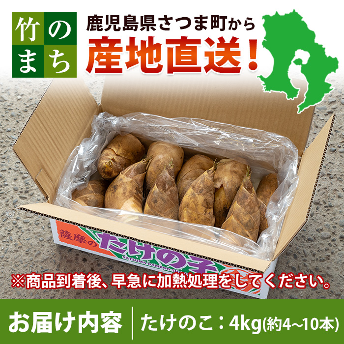 s089 《先行予約受付中！2026年3月下旬より順次発送予定》鹿児島県産たけのこ(4kg・約4～10本) 産地直送 筍 タケノコ 国産 煮物 炊き込みご飯【弐番屋】