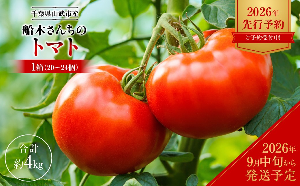 
                  【先行予約・2026年9月中旬～発送】千葉県山武市産 船木さんちのトマト1箱（20～24個・約4kg） ／ふるさと納税 トマト とまと 大玉トマト 昔ながらのトマト 桃太郎 野菜 サラダ 冷製パスタ 産地直送 千葉県 千葉県産 山武市 SMDD002
                