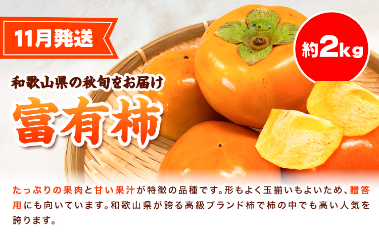 【定期】紀州和歌山産 旬のフルーツセット(せとか 桃 富有柿) 約6.5kg 株式会社魚鶴商店《3月上旬-12月上旬頃出荷》和歌山県 日高川町 柿 富有柿 せとか 桃 もも フルーツ---wshg_u