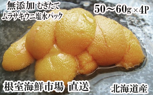 B-28068 根室海鮮市場＜直送＞無添加むきたてムラサキウニ塩水パック50～60g×4P[5月初旬以降発送]