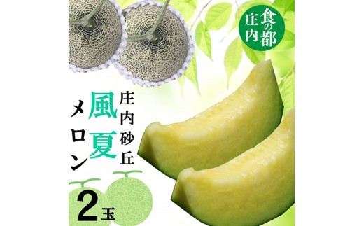 【令和8年産】食の都庄内　庄内の風夏メロン（2玉） ※2026年7月上旬～8月上旬頃発送