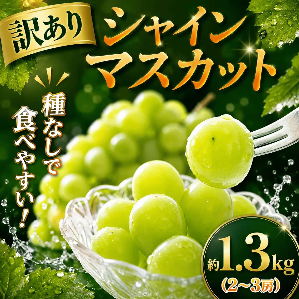 シャインマスカット 約 1.3kg 【順次発送中】 | ぶどう ぶどう 種なし