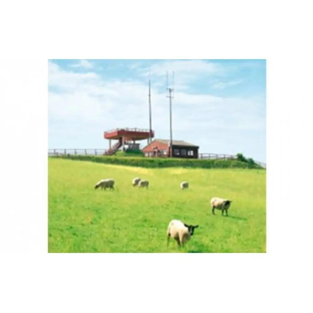 【2026年12月20日以降発送予定】北海道産 しべちゃサフォーク（羊肉）生ラム プレミアムセット400g （ヒレ・リブカタロース・カルビ・モモ各100g）| ラム