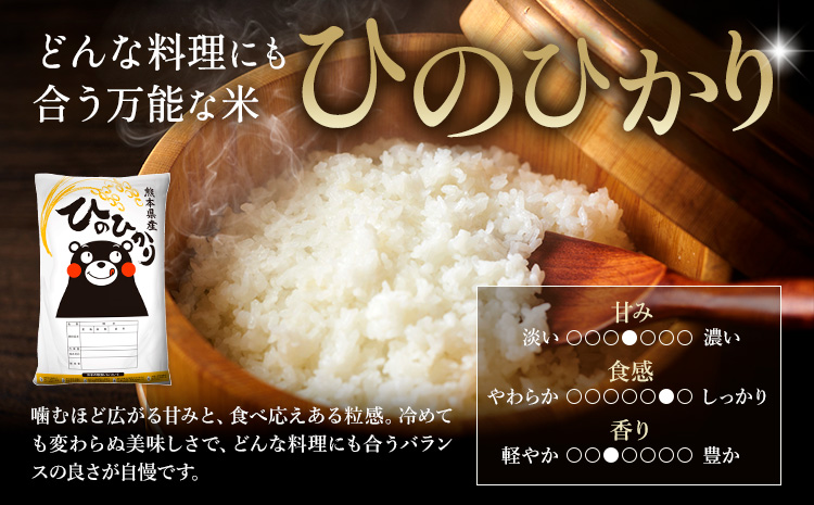 令和7年産 米 無洗米 ひのひかりこしひかり 食べ比べ 10kg《7-14日以内に出荷(土日祝除く)》 白米 精米 無洗米 熊本県産(南阿蘇村産含む) 単一原料米 南阿蘇村 ひの こし 送料無料 熊本