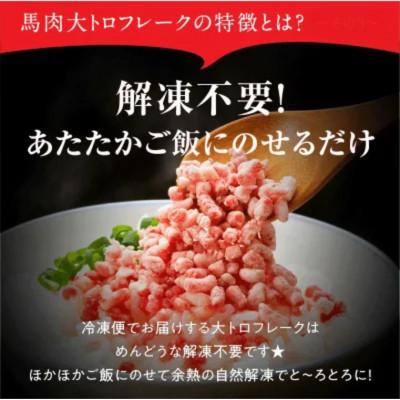ふるさと納税 阿蘇市 馬肉大トロフレーク 300g 約100g×3カップ(阿蘇市) |  | 02