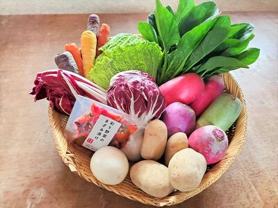 こだわり 野菜セット 9品 以上 【予約受付 26年6月発送開始予定】うるおい春夏秋冬 C0493 詰め合わせ 季節の野菜 国産