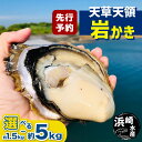 【ふるさと納税】 天草天領岩かき 選べる容量 約 1.5kg ～ 約 5kg 浜崎水産 カキ 岩カキ 牡蠣 岩がき 貝 BIG ビッグ 生食 バーベキュー 夏 生食 天草 天領 苓北 熊本 旬 シーズン 送料無料