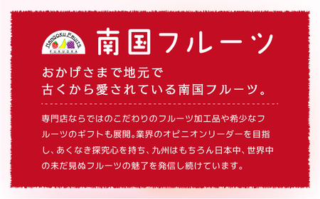 佐賀産 さがほのか8パック【41nf-011】