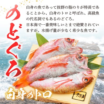 開きのどぐろ × 5尾(約170～200g / 1尾)【配送不可地域：離島】【1451479】