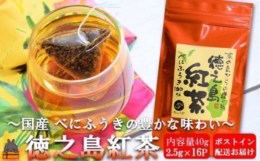 995 国産べにふうきの豊かな味わい。徳之島紅茶40g（ティーパック2.5g×16P） ( 国産 紅茶 ティー Tea 茶葉 ティーパック ミルクティー べにふうき お菓子 スイーツ 徳之島 奄美 鹿児島 美味しい 優雅 贅沢 安心 安全 )  