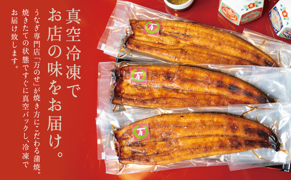 鹿児島県産 うなぎ蒲焼 3尾 セット うなぎ専門店「万のせ」ジューシー スタミナ ウナギ 鰻 蒲焼き 国産 ギフト うな重 たれ ひつまぶし 山椒 冷凍 簡単調理 贈り物 お取り寄せグルメ 冷凍 鹿児島県 南さつま市