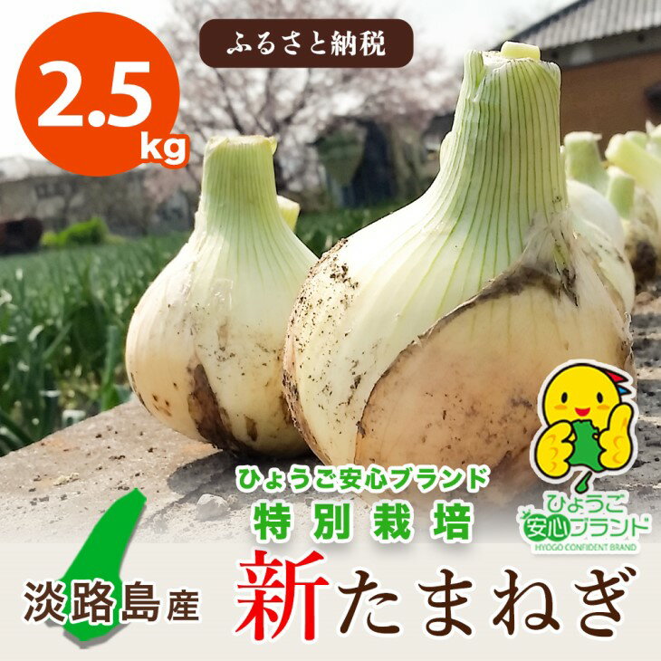 【ふるさと納税】【あさひサンファーム】【2.5kg】兵庫県認証★特別栽培★淡路島新たまねぎ（配送3月上旬～）