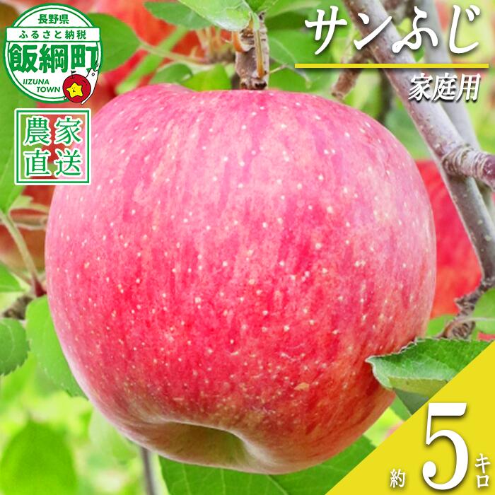 【ふるさと納税】 りんご おうちで食べるりんご サンふじ 家庭用 5kg 大友農場 エコファーマー認定 沖縄県への配送不可 令和8年度収穫分 長野県 飯綱町 【 信州 果物 フルーツ リンゴ 林檎 長野 予約 農家直送 14000円 】発送時期：2026年12月中旬〜2027年1月末 {**}