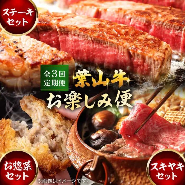 【全3回定期便】毎月内容が変わる！葉山牛お楽しみ便 牛肉 食べ比べ[ASAP087]