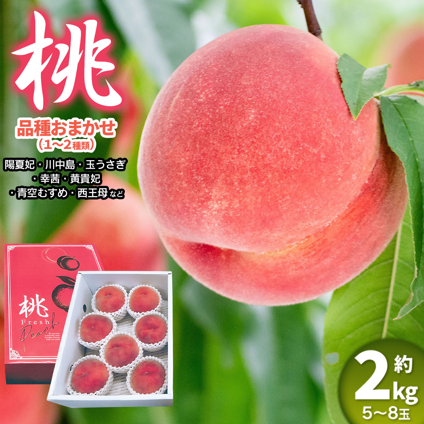 【ふるさと納税】【令和8年産先行予約】桃 品種おまかせ　約2kg（5～8玉） くにちゃん農園　K-836