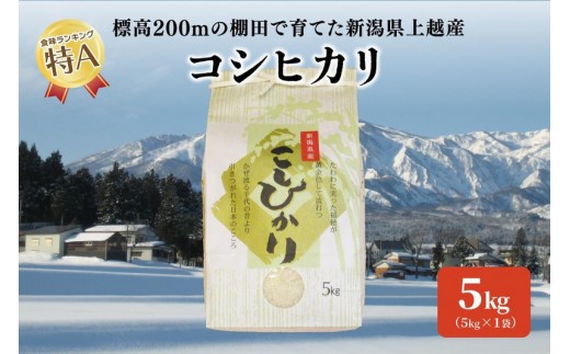 標高200mで育てた棚田米|令和7年産・新潟県上越市中郷産・従来種コシヒカリ精米5kg 小島藤吉 JCCソフト