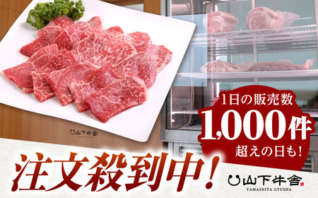 【ふるなび限定】 佐賀牛 赤身・ロース 食べ比べセット （焼肉・すき焼き） 【山下牛舎】[HAD150]