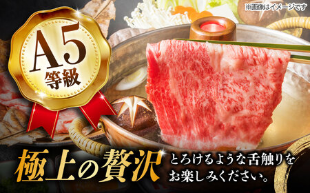 【1月発送】【飛騨牛 すき焼き用】 A5等級 ロース / 肩ロース 500g 和牛 ブランド牛 国産 牛肉 多治見市 / 渡辺精肉店 [TAZ006-1]