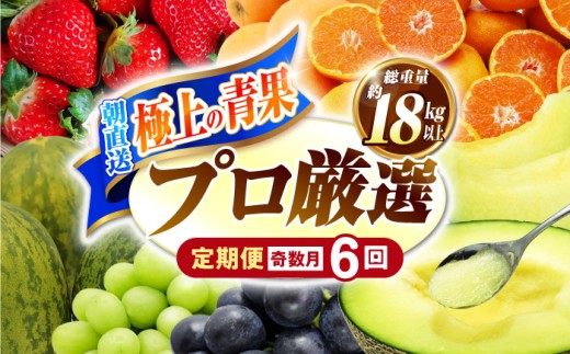 フルーツ定期便【6回定期便 奇数月コース】フルーツ定期便 旬のフルーツをセット/ いちご メロン ハウスみかん 梨 柿 など  / 定期便 旬 フルーツ 果物 春フルーツ 夏フルーツ 秋フルーツ 冬フルーツ 果物定期便 フルーツ定期便 果物定期 人気フルーツ フルーツ セット フルーツ詰め合わせ 果物定期便 ふるーつ定期便 産地直送 果物 人気 / 南島原市 / 贅沢宝庫 [SDZ021]