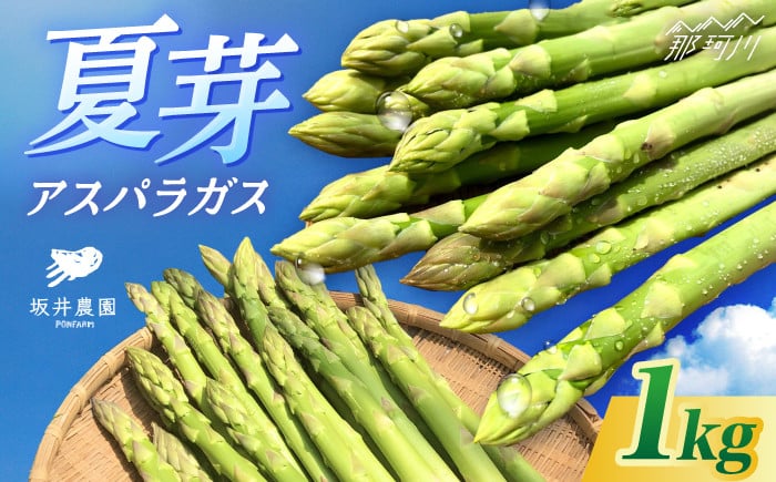 
            アスパラガス 1kg ＜坂井農園＞那珂川市 2025 季節 限定 春 おいしい アスパラ 人気 あすぱら アスパラガス 野菜 アスパラ ランキング アスパラガス 特別 アスパラ 健康 最高 アスパラガス ヤサイ レシピ サイズ 豊富 アスパラガス 産地直送 アスパラ 人気 アスパラガス あすぱらがす おすすめ 太 細 サイズ 野菜やさい あすぱら 九州 福岡 [GBP001]
          