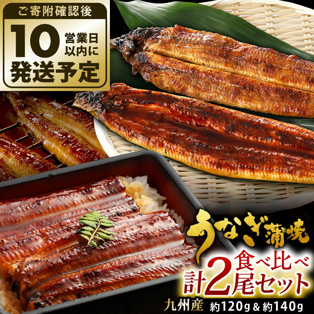 【ふるさと納税】★年内発送★ 九州産 手焼き炭火うなぎ蒲焼 ＆ うなぎ蒲焼 食べ比べ 計2尾セット たれ・山椒付き 鰻 蒲焼き 冷凍 国産 送料無料 鹿児島、宮崎、熊本等産うなぎ原料使用 【10営業日発送】