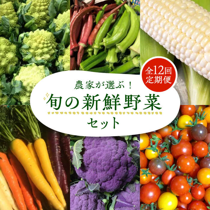 【ふるさと納税】【全12回定期便】農家が選ぶ！ 旬の新鮮野菜セット《豊前市》【田村農産】産直 野菜 やさい 詰め合わせ[VBE010] 173000 173000円