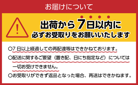 《3ヵ月定期便》富士山蒼天の水 2L×12本（2ケース）ラベルレス　