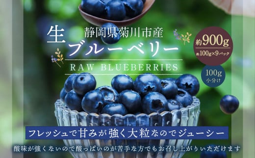 生ブルーベリー 計約900g（約100g×9パック）【2025年4月下旬－6月上旬発送予定】 ｜ブルーベリー 果物 フルーツ 静岡県 菊川市
