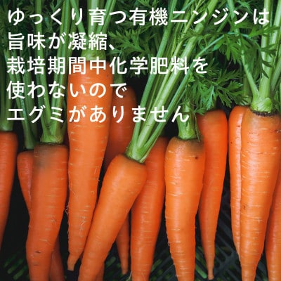 有機ニンジン　栽培期間中農薬不使用　有機JAS認証　冬季限定(12～3月発送)【配送不可地域：離島・北海道・沖縄県】
