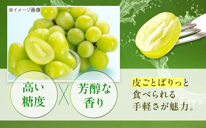 シャインマスカット マスカット ますかっと Shine Muscat  ぶどう ブドウ 葡萄 しゃいんマスカット 種なし ２kg