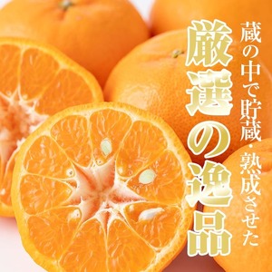 ＜先行予約＞＼数量・期間限定／本格貯蔵 ぽんかん 薩州薩摩 約5kg  糖度12度以上 クエン酸0.9%以下 カラーチャート9以上 の厳しい基準をクリアしたブランド品！ 果樹【A-2021H】