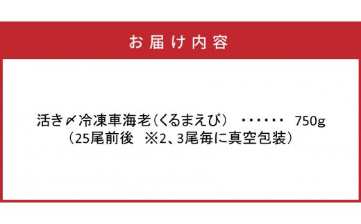 鮮度抜群！活き〆冷凍車海老（750g）(29017B)_イメージ5