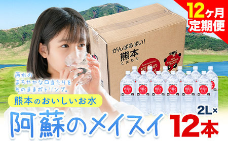 【12ヶ月定期便】水 熊本 の おいしい お水 阿蘇 メイスイ 天然水 2L × 12本 2ケース 丸富産業《お申込み月の翌月から出荷開始》熊本県 御船町 水 天然水 みず 熊本 飲料 熊本県 ミネラルウォーター