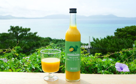 【定期便：3回】沖縄の贅沢ジュース 12本 青切シークヮサージュース