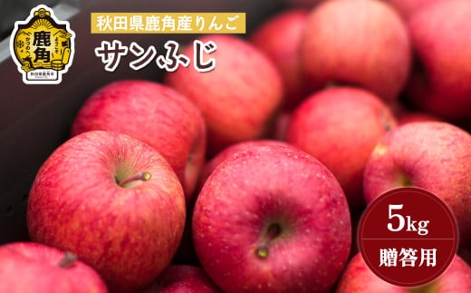 《先行予約》秋田県鹿角産りんご 雪国育ちの「サンふじ」5kg（14～23玉入）【山麓園】●2025年11月下旬発送開始