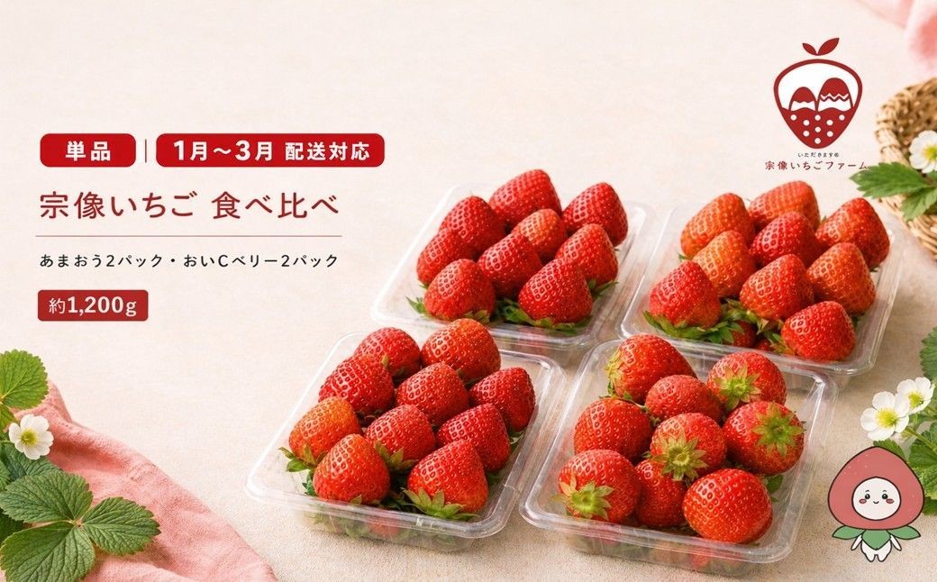 
                  【先行予約】人気のいちご 2品種食べ比べセット【宗像いちごファーム】_HA2067 苺 イチゴ あまおう おいCベリー 福岡県宗像市 宗像市 福岡 宗像
                