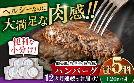 【全12回定期便】【蝦夷鹿×牧草牛×放牧豚】ハンバーグ 5個 《厚真町》【GOODGOOD株式会社】 ハンバーグ 鹿肉 牛肉 豚肉 小分け 冷凍配送 北海道[AXBP021]