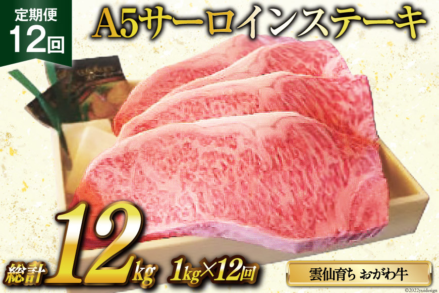 
定期便 12回 牛肉 雲仙育ち おがわ牛 A5 サーロインステーキ 総計12kg(1kg×12回) ステーキ 黒毛和牛 冷凍 / 焼肉おがわ / 長崎県 雲仙市
