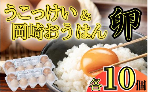 烏骨鶏＆岡崎おうはん薬膳鶏の自然な恵み！卵ペアセット｜鳥取 たまご うこっけい 鶏卵【33003】