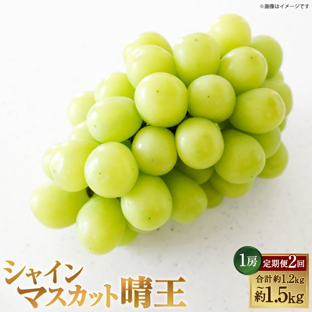 【ふるさと納税】[HS]【2回定期便】シャインマスカット 晴王 ＜選べる内容量＞ 1回あたり1房 約600g / 約650g / 約700g / 約750g マスカット ぶどう ブドウ 葡萄 フルーツ くだもの 果物 果実 デザート 冷蔵 国産 岡山県産 倉敷市 送料無料 【2026年9月上旬～10月下旬発送】