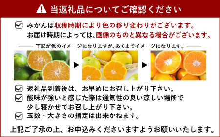 年4回 果樹園の柑橘定期便【2025年1月下旬発送開始】ポンカン5kg 不知火4kg 極早生みかん5kg 早生みかん5kg 合計19kg 定期便 不知火 しらぬい ポンカン みかん ミカン 蜜柑 くだ