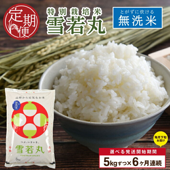 【ふるさと納税】≪新米予約≫ ≪6ヶ月定期便≫ 無洗米 特別栽培米 雪若丸 5kg×6ヶ月 計30kg 令和7年産米 山形県産 ご希望期間の毎月下旬頃お届け 米 白米 庄内米 ブランド米 ごはん ご飯 農家直送 産地直送 東北 山形県 酒田市 庄内 発送時期が選べる