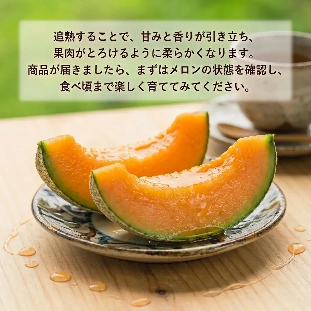 ＜残りわずか＞　追分アサヒメロン 秀品 2玉(5玉サイズ)  赤肉メロン 国産 北海道 安平町