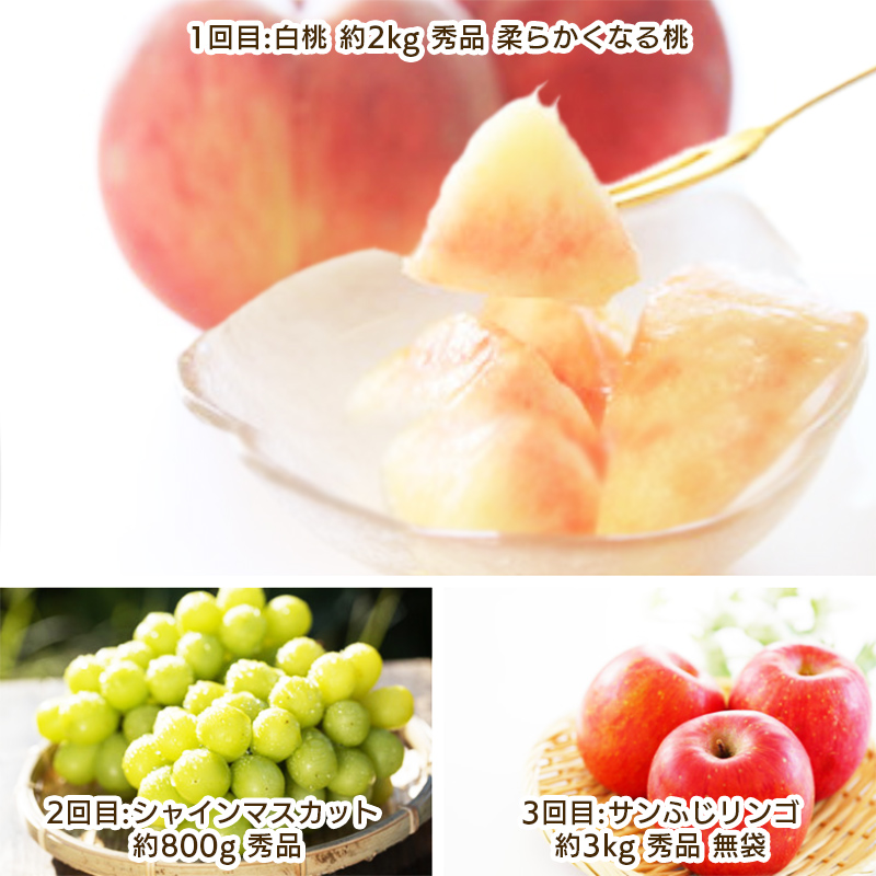 【定期便3回】やまがた こだわりのフルーツ定期便 FY25-042