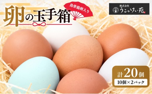 
卵の玉手箱（烏骨鶏入り）10個×2パック
